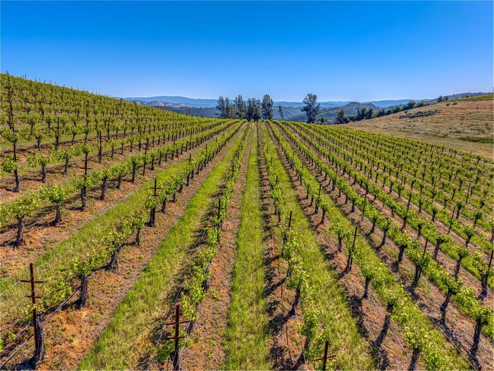 Long view across the Red Hills