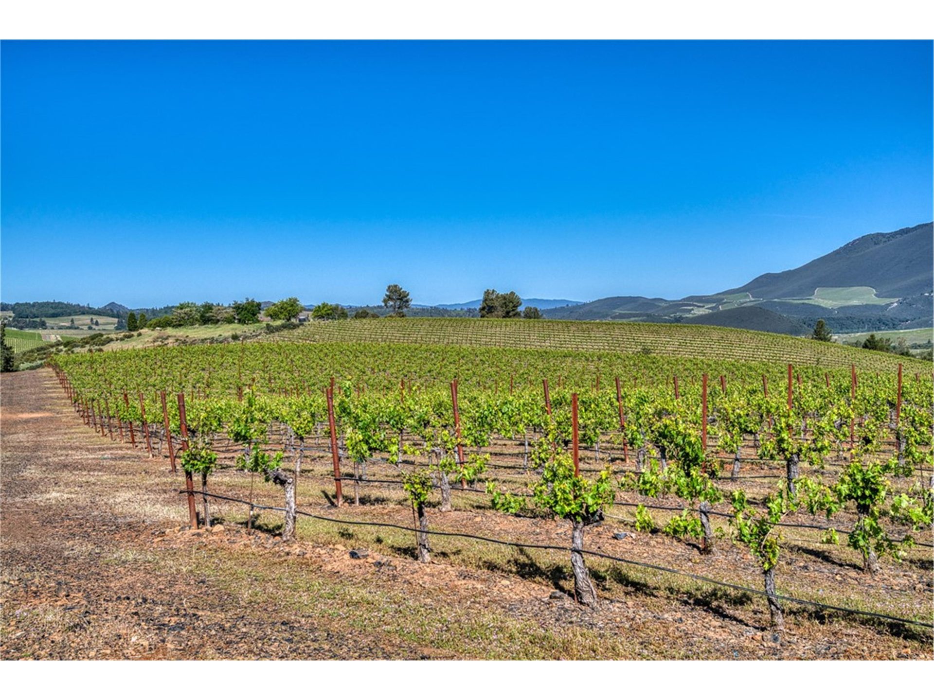 Property panorama