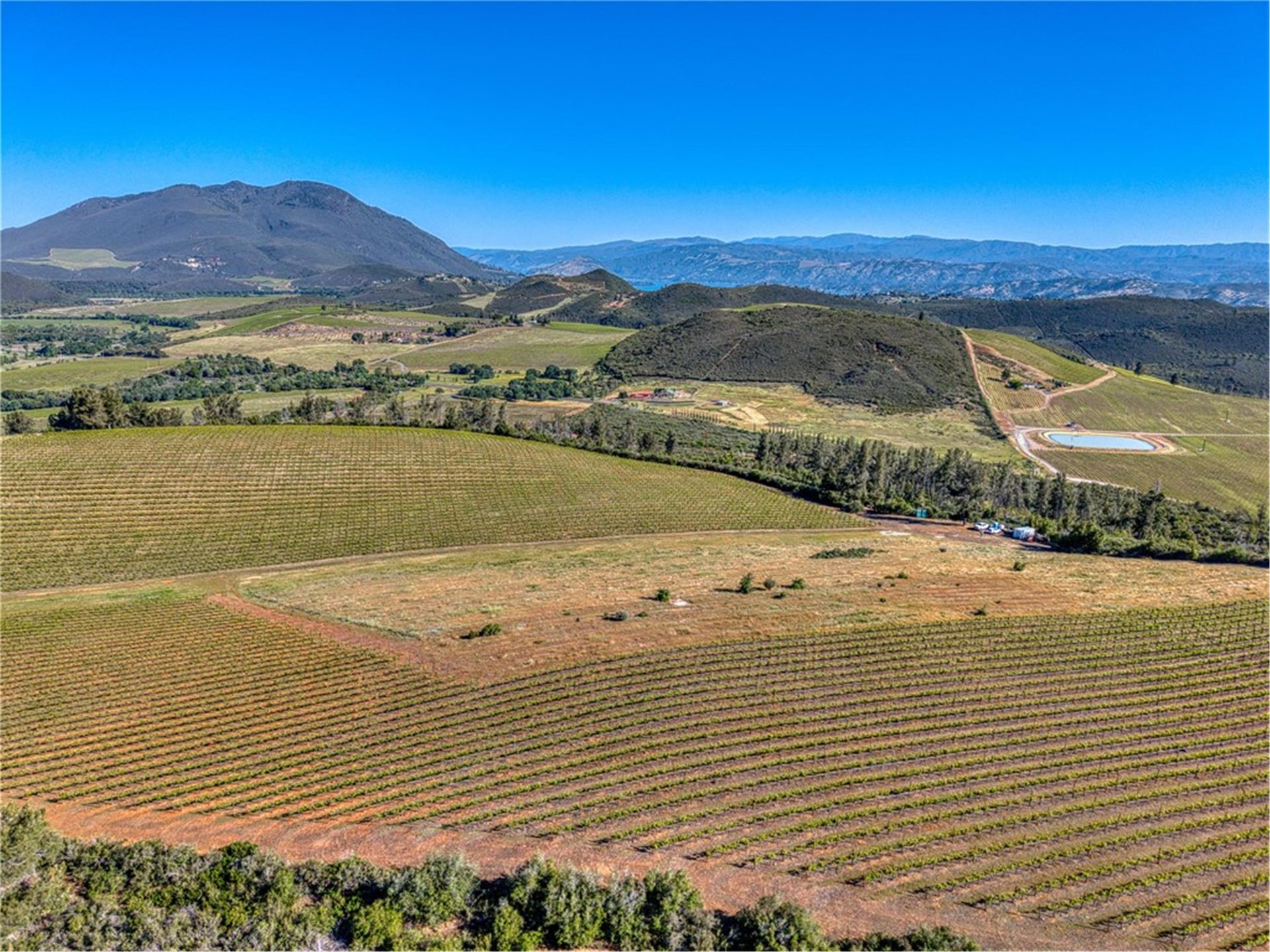 Cabernet Sauvignon vineyard rows at Eden Crest, looking down the hillside